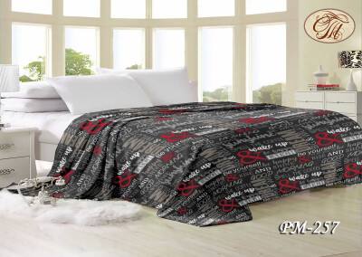 Флісовий плед 160х210 ⭐Мотивація сіра⭐