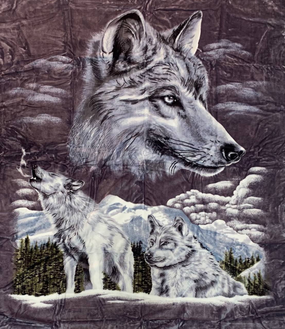 Плед Акриловий кольоровий Elway (200x240 см.) "Вовки"