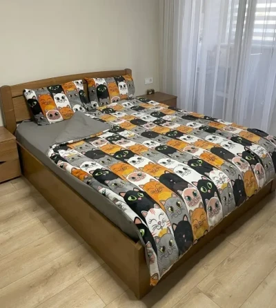 Євро комплект утепленої постільної білизни Зима-Літо (бязь+мікрофібра) "Коти"